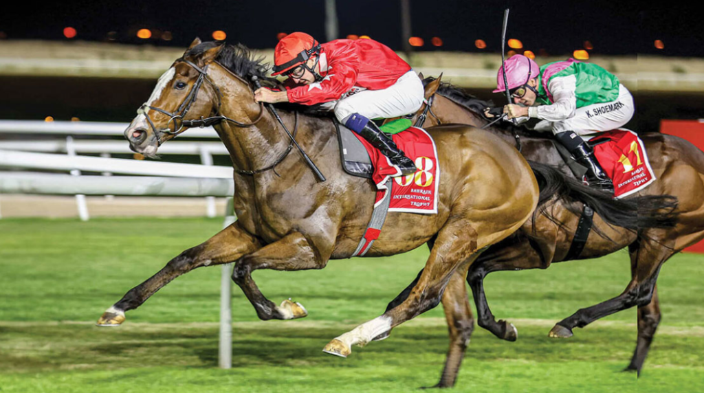 pacoturf || paco turf || paco turf vip